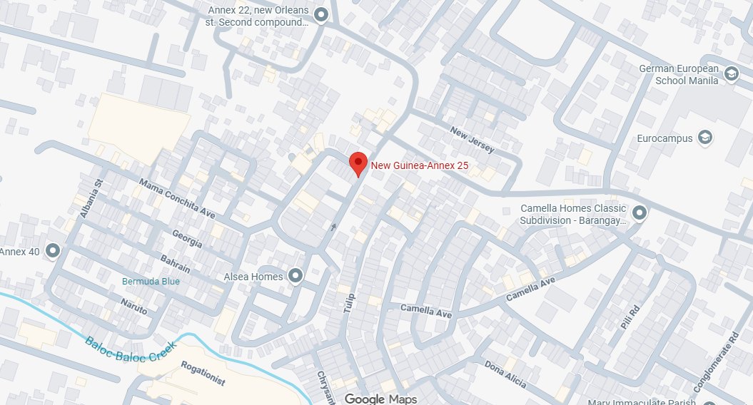 Foreclosed Residential House & Lot For Sale in Paranaque City, Metro Manila (316 sqm Lot Area) - Media Image Asset Panel Sub-No 2