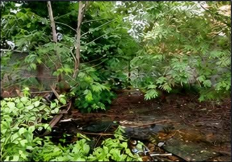 Foreclosed Residential Lot Only For Sale in Paranaque City, Metro Manila (274 sqm Lot Area) - Media Image Asset Panel Sub-No 3