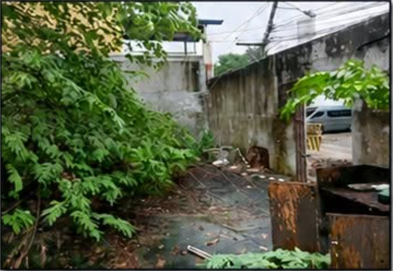 Foreclosed Residential Lot Only For Sale in Paranaque City, Metro Manila (274 sqm Lot Area) - Media Image Asset Panel Sub-No 4