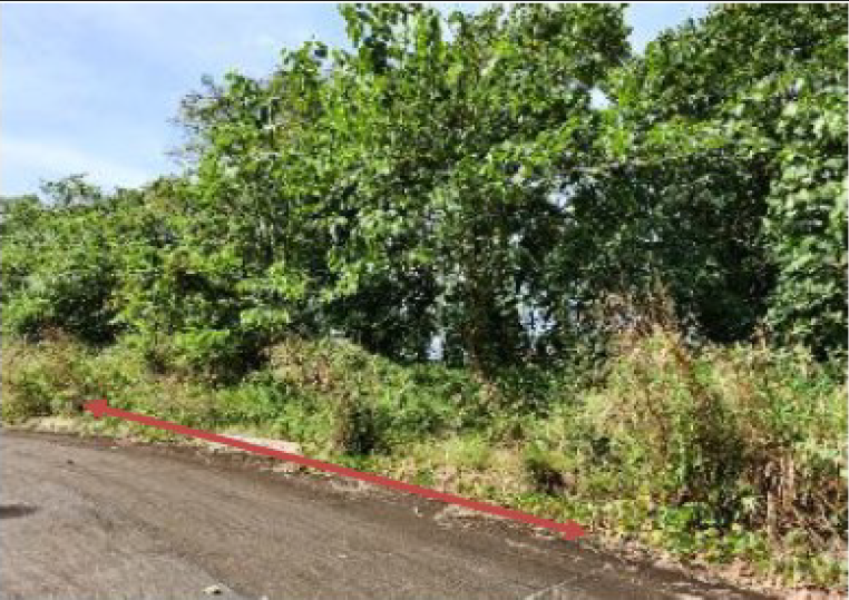 Foreclosed Residential Lot Only For Sale in San Mateo, Rizal (243 sqm Lot Area) - Media Image Asset Panel Sub-No 2