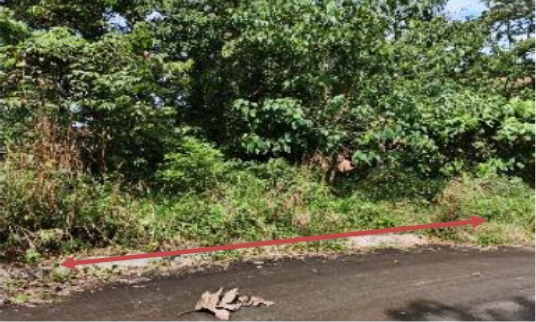 Foreclosed Residential Lot Only For Sale in San Mateo, Rizal (243 sqm Lot Area) - Media Image Asset Panel Sub-No 3