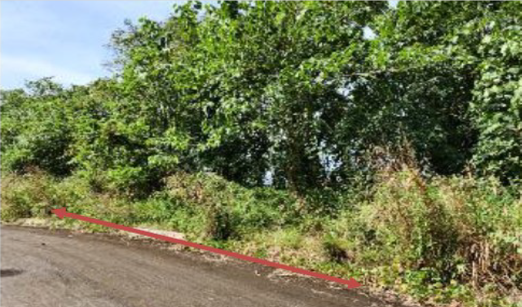 Foreclosed Residential Lot Only For Sale in San Mateo, Rizal (243 sqm Lot Area) - Media Image Asset Panel Sub-No 4