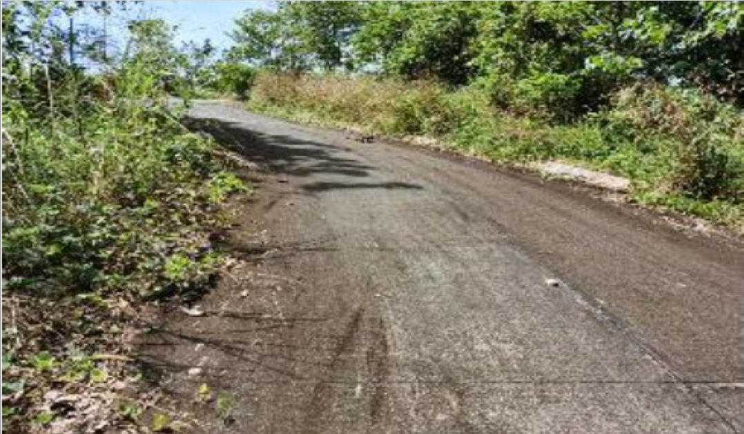 Foreclosed Residential Lot Only For Sale in San Mateo, Rizal (243 sqm Lot Area) - Media Image Asset Panel Sub-No 6