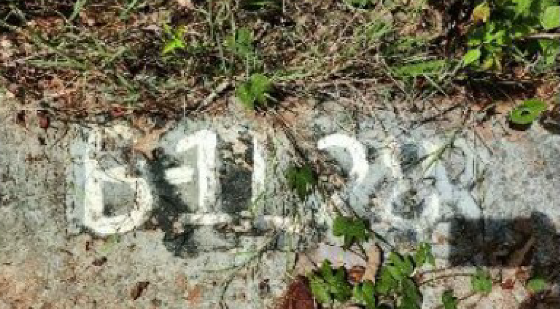 Foreclosed Residential Lot Only For Sale in San Mateo, Rizal (243 sqm Lot Area) - Media Image Asset Panel Sub-No 7