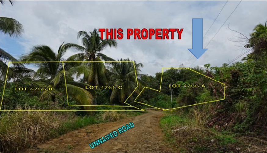 Foreclosed Residential Lot Only For Sale in Davao City, Davao Del Sur (15,669 sqm Lot Area) - Media Image Asset Panel Sub-No 3