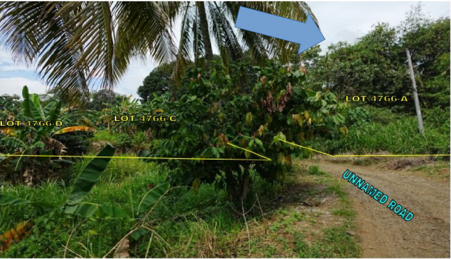 Foreclosed Residential Lot Only For Sale in Davao City, Davao Del Sur (15,669 sqm Lot Area) - Media Image Asset Panel Sub-No 4