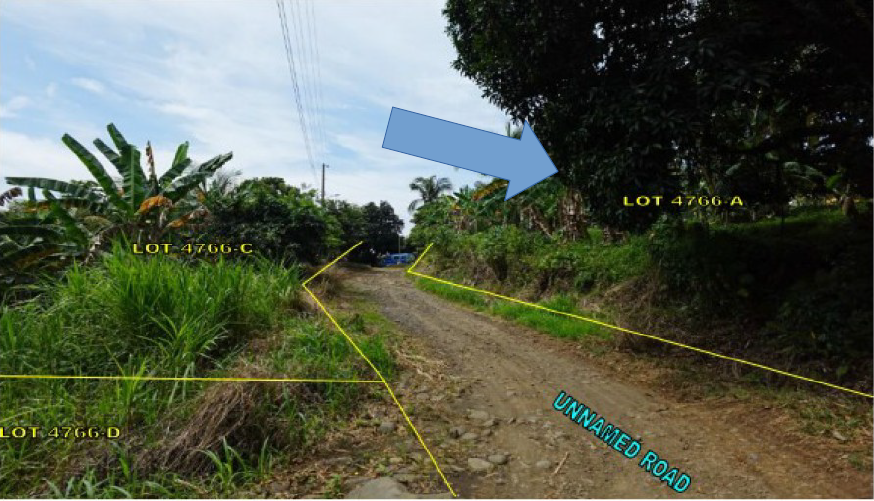 Foreclosed Residential Lot Only For Sale in Davao City, Davao Del Sur (15,669 sqm Lot Area) - Media Image Asset Panel Sub-No 5