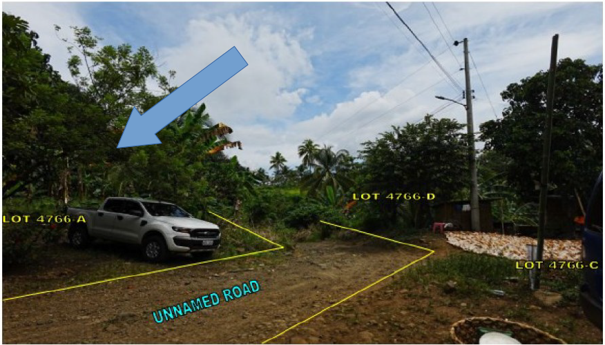 Foreclosed Residential Lot Only For Sale in Davao City, Davao Del Sur (15,669 sqm Lot Area) - Media Image Asset Panel Sub-No 6