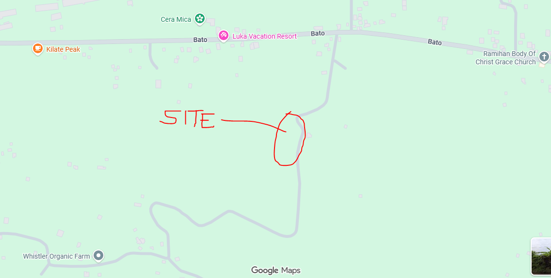 Foreclosed Residential Lot Only For Sale in Davao City, Davao Del Sur (15,669 sqm Lot Area) - Media Image Asset Panel Sub-No 7
