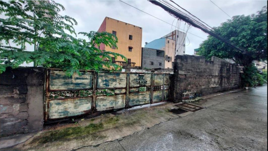 Foreclosed Residential Lot Only For Sale in Makati City, Metro Manila (255 sqm Lot Area) - Media Image Asset Panel Sub-No 4
