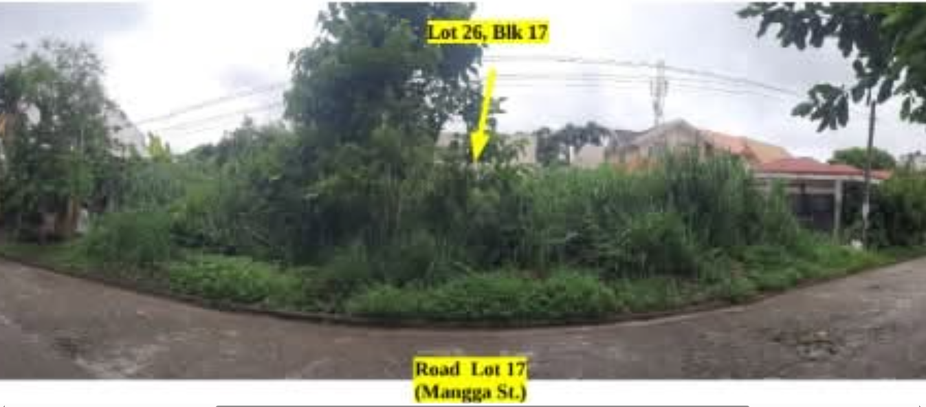 Foreclosed Residential Lot Only For Sale in Pili, Camarines Sur (138 sqm Lot Area) - Primary Display View Frame Location in Pili, Camarines Sur