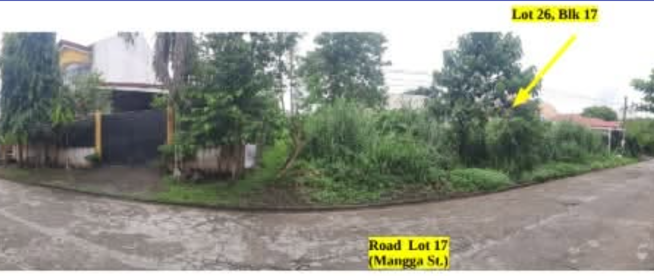 Foreclosed Residential Lot Only For Sale in Pili, Camarines Sur (138 sqm Lot Area) - Media Image Asset Panel Sub-No 2