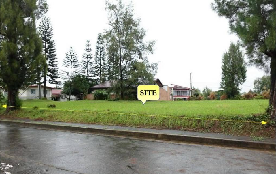 Foreclosed Residential Lot Only For Sale in Alfonso, Cavite (300 sqm Lot Area) - Media Image Asset Panel Sub-No 2