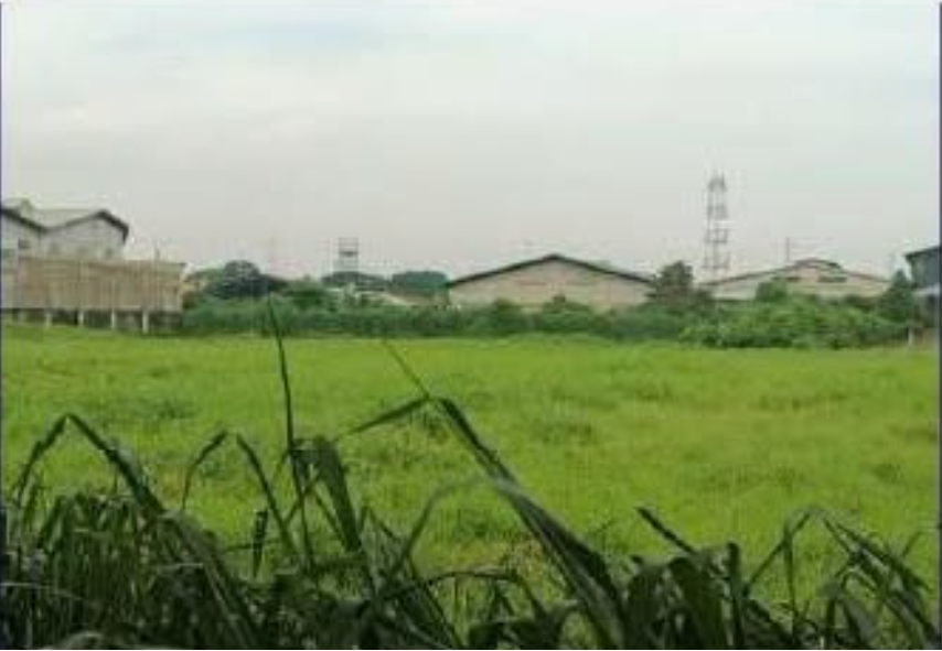Foreclosed Commercial Lot Only For Sale in Valenzuela City, Metro Manila (1,213 sqm Lot Area) - Media Image Asset Panel Sub-No 3