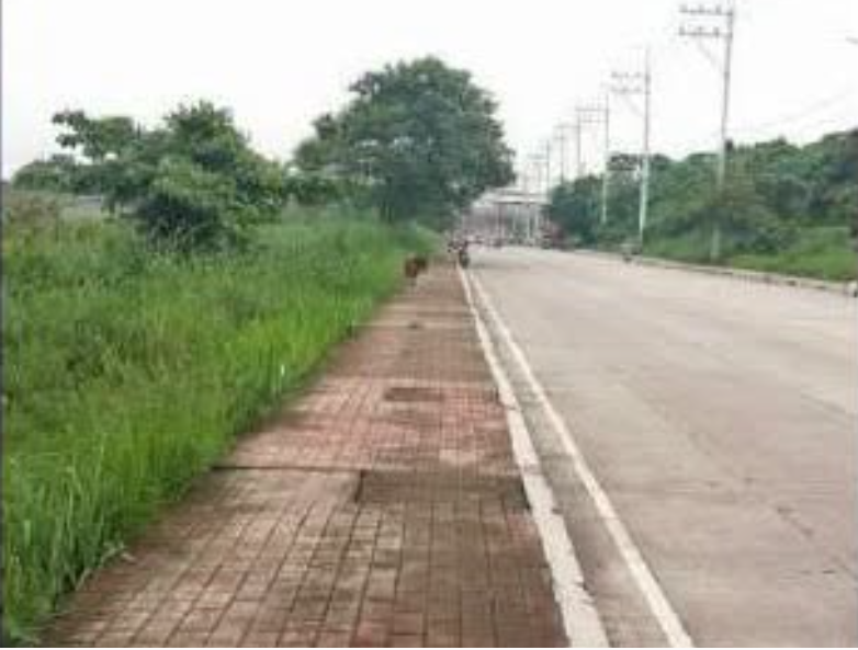 Foreclosed Commercial Lot Only For Sale in Valenzuela City, Metro Manila (1,213 sqm Lot Area) - Media Image Asset Panel Sub-No 5