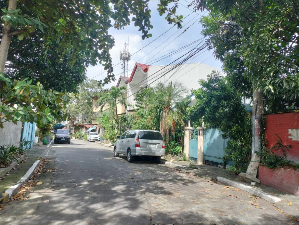 Foreclosed Residential House & Lot For Sale in Parañaque City, Metro Manila (323 sqm Lot Area) - Media Image Asset Panel Sub-No 3
