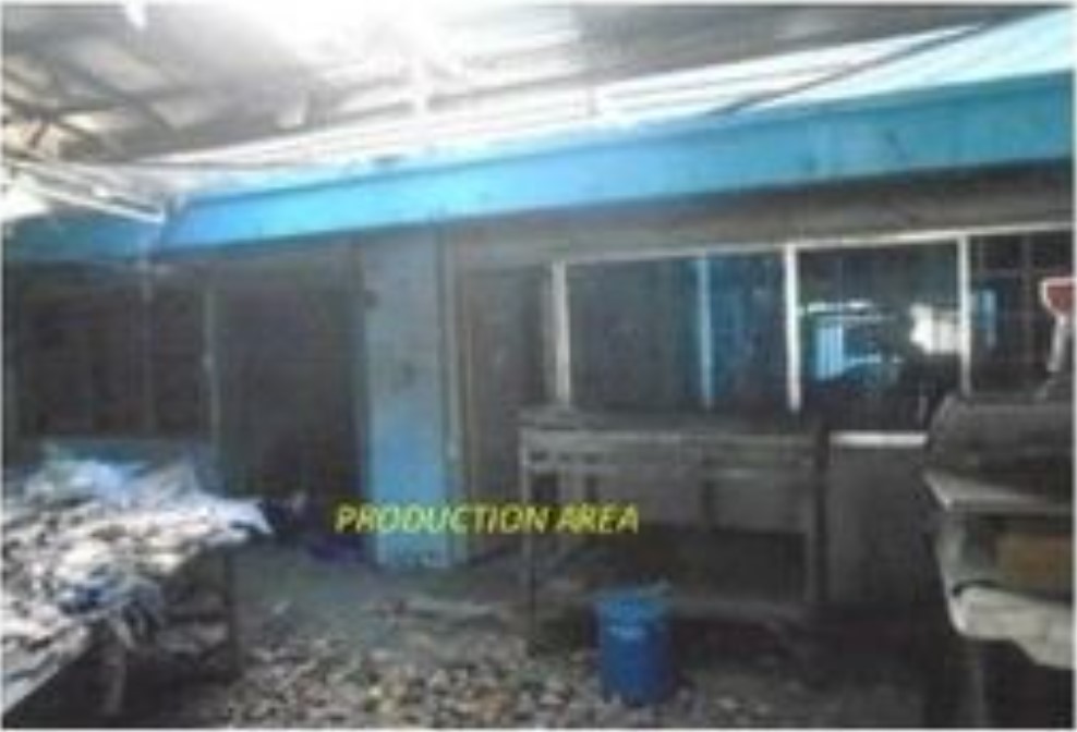 Foreclosed Residential House & Lot For Sale in Parañaque City, Metro Manila (323 sqm Lot Area) - Media Image Asset Panel Sub-No 7