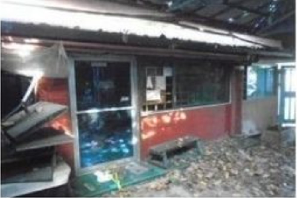 Foreclosed Residential House & Lot For Sale in Parañaque City, Metro Manila (323 sqm Lot Area) - Media Image Asset Panel Sub-No 8