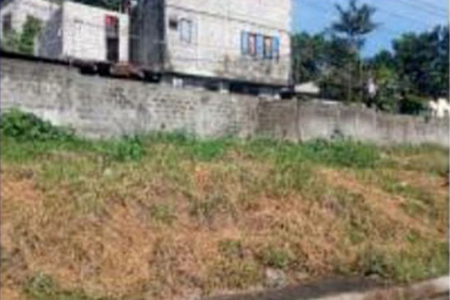 Foreclosed Residential Lot Only For Sale in Quezon City, Metro Manila (115 sqm Lot Area) - Media Image Asset Panel Sub-No 2
