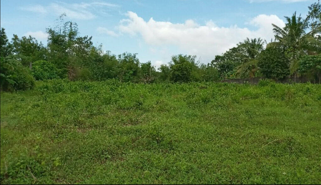 Foreclosed Residential Lot Only For Sale in Bacolod City, Negros Occidental (2500 sqm Lot Area) - Primary Display View Frame Location in Bacolod City, Negros Occidental