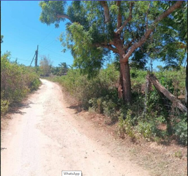 Foreclosed Residential Lot Only For Sale in Madridejos, Cebu (25448 sqm Lot Area) - Primary Display View Frame Location in Madridejos, Cebu